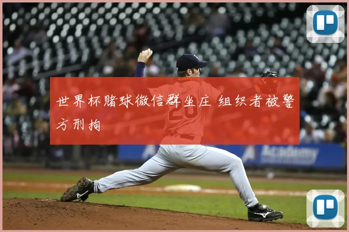 世界杯赌球微信群坐庄 组织者被警方刑拘
