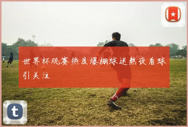 世界杯观赛热度爆棚球迷熬夜看球引关注