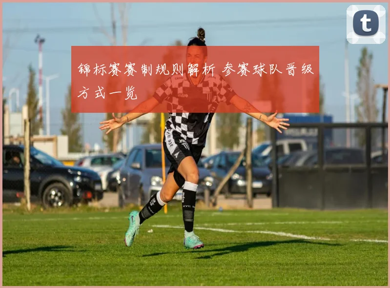 锦标赛赛制规则解析 参赛球队晋级方式一览
