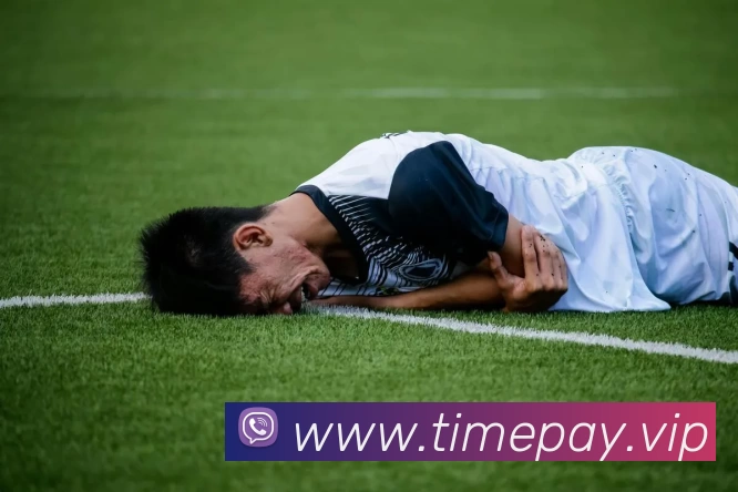 leyu乐鱼登录地址服务体系