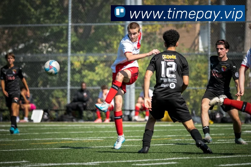 多媒体互动体验